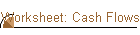 Worksheet: Cash Flows