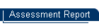 Assessment Report